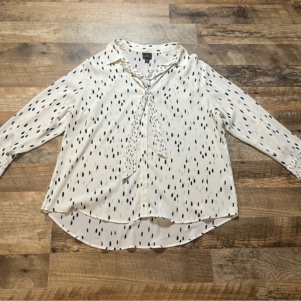 Women’s Sheer Blouse